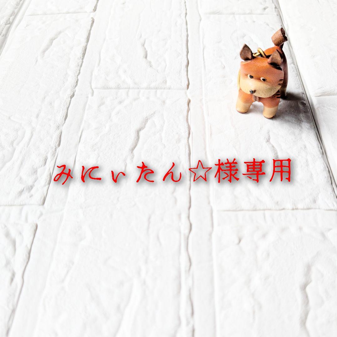 犬服ハンドメイド・ワンピース