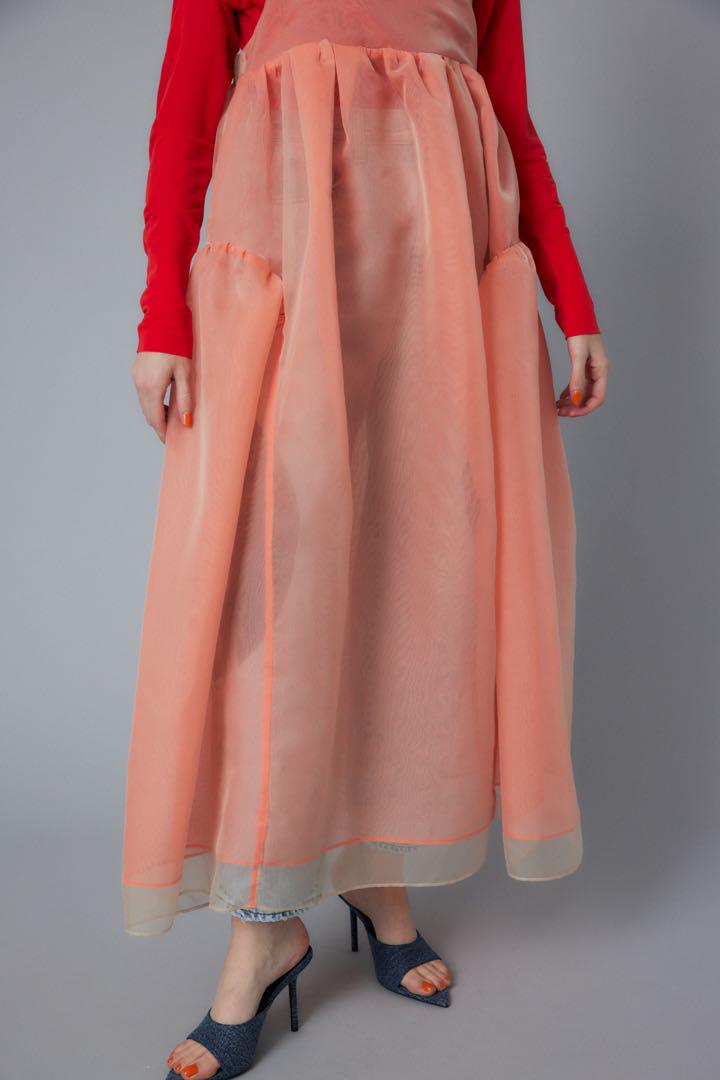 ワンピース HeRIN.CYE Sheer volume dress