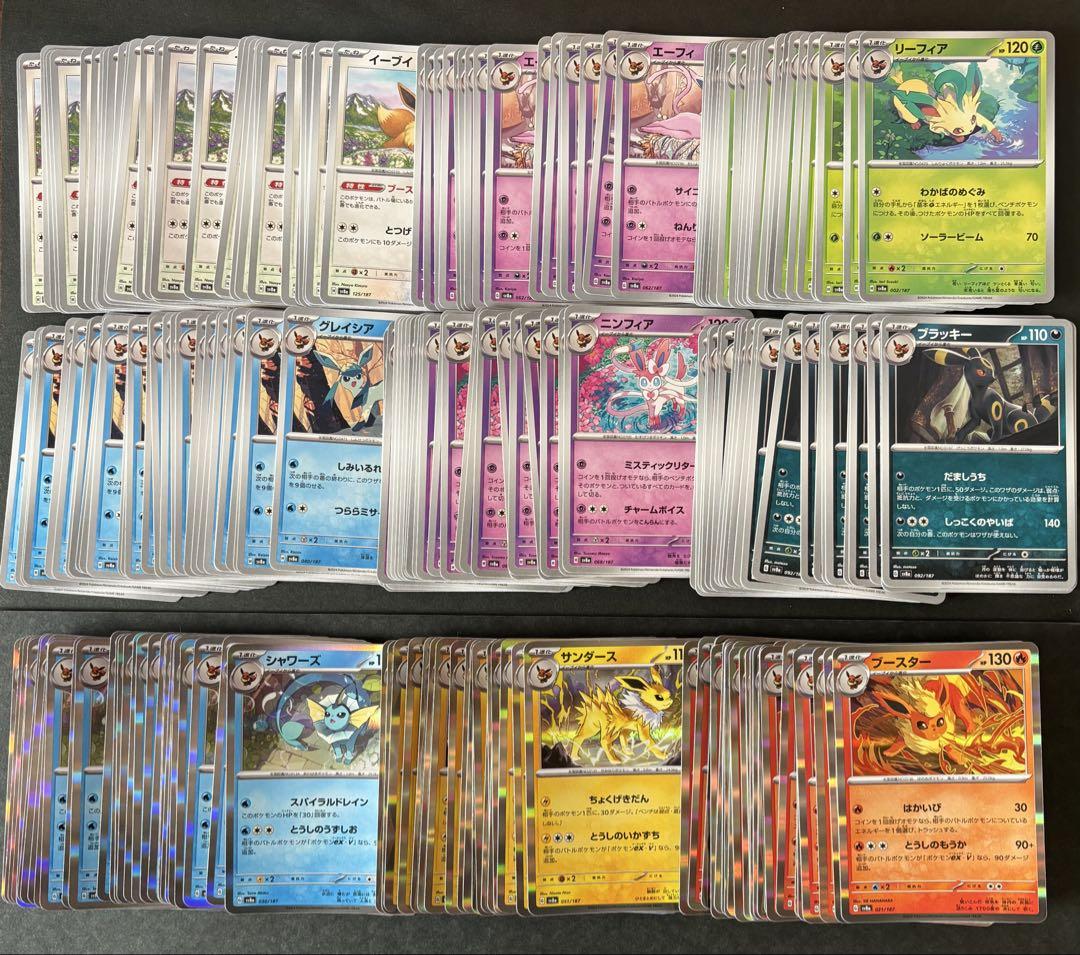 ポケカ ブイズ(テラスタルフェスex R.ノーマル)無限回収 セット