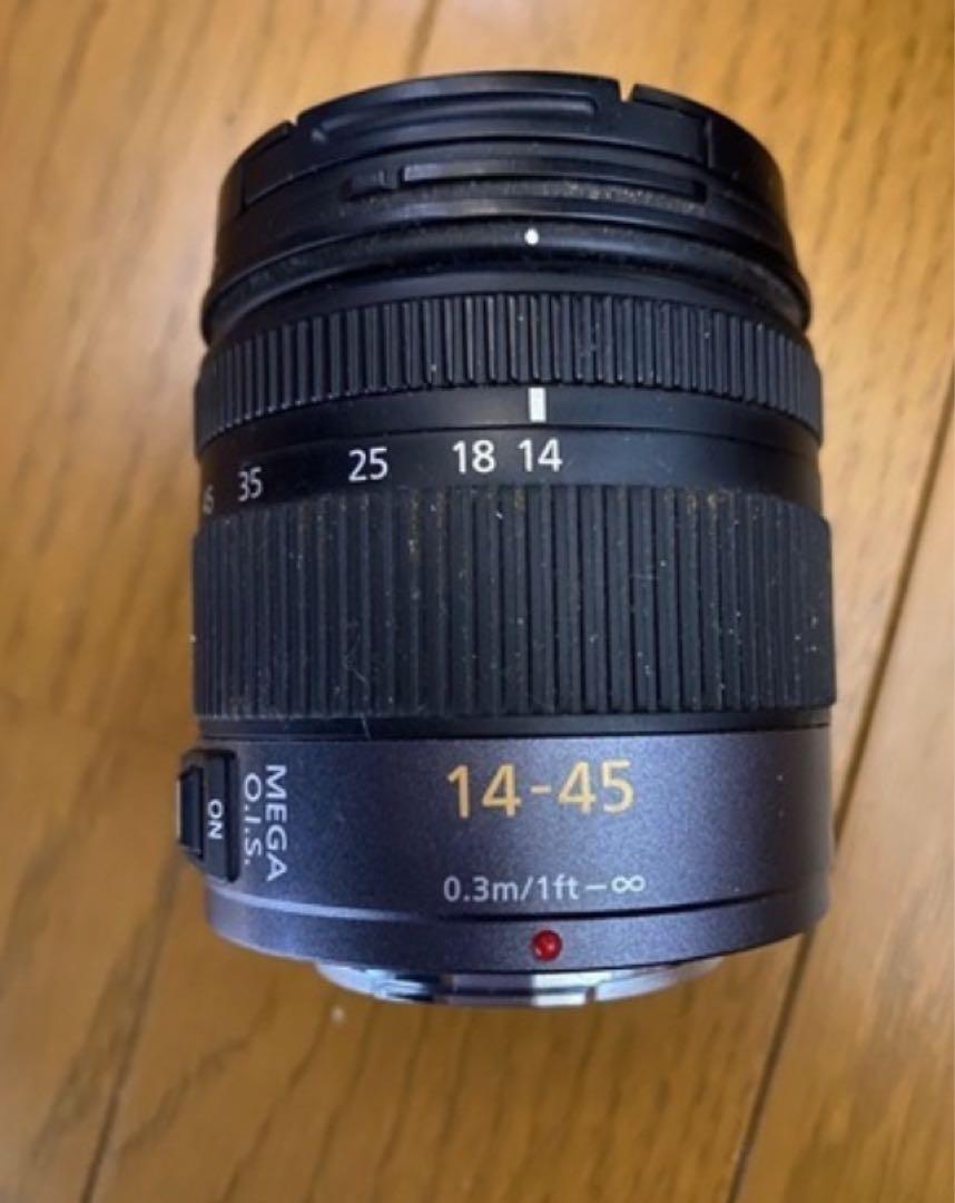 LUMIX G1