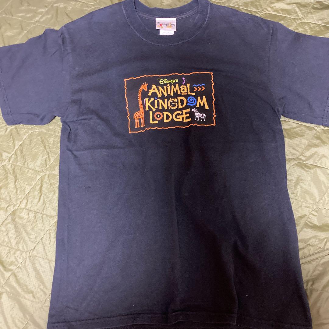 【Disney】Walt Disney World アニマルキングダム 襟付きシャツ Custom Animal Kingdom Safari 2025 Shirt, Disney Trip Safari