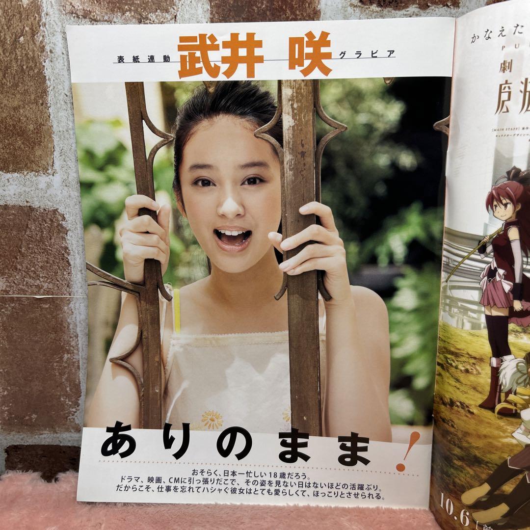 大型配送タイプ】武井咲さん掲載ページ（A3サイズ配送）