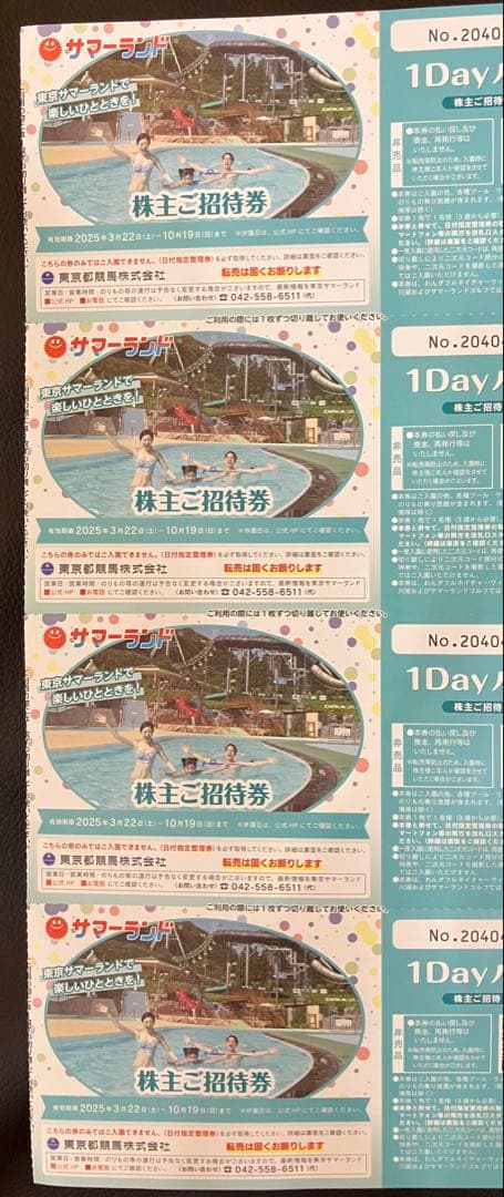 東京サマーランド 株主ご招待券（株主優待券）4枚セット
