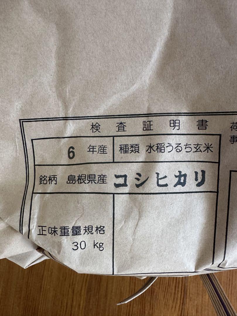 島根米 コシヒカリ 令和6年産(10kg)