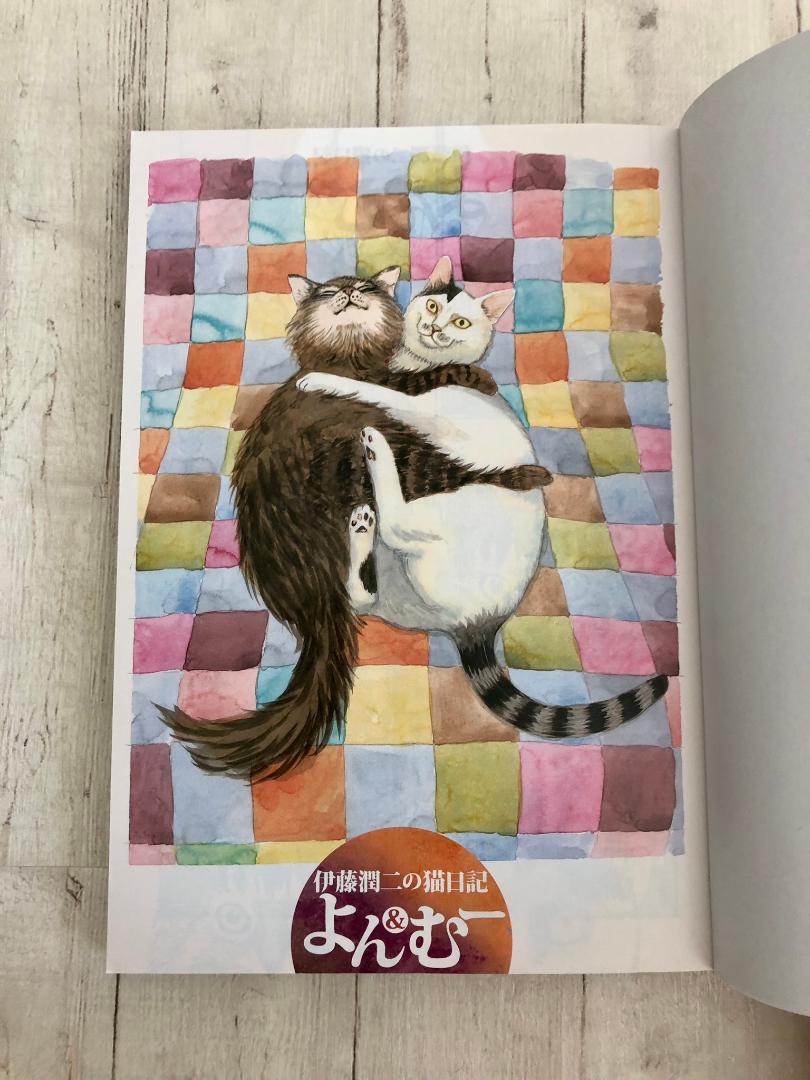 伊藤潤二の猫日記 よん&むー 伊藤潤二 ホラー漫画家 エッセイ