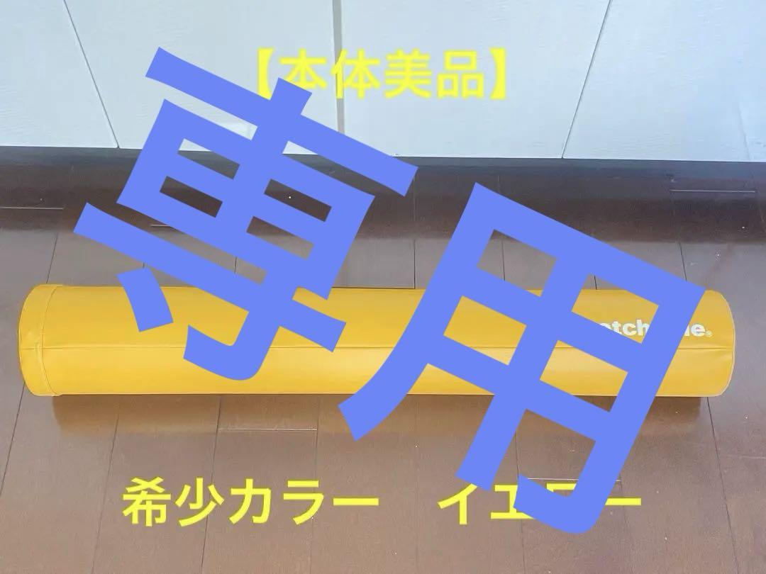 【美品】LPN社製 ストレッチポール EX イエロー