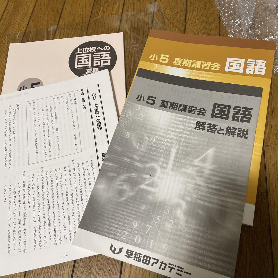 早稲田アカデミー 国語 夏期講習 テキスト 小5 5年 2冊セット