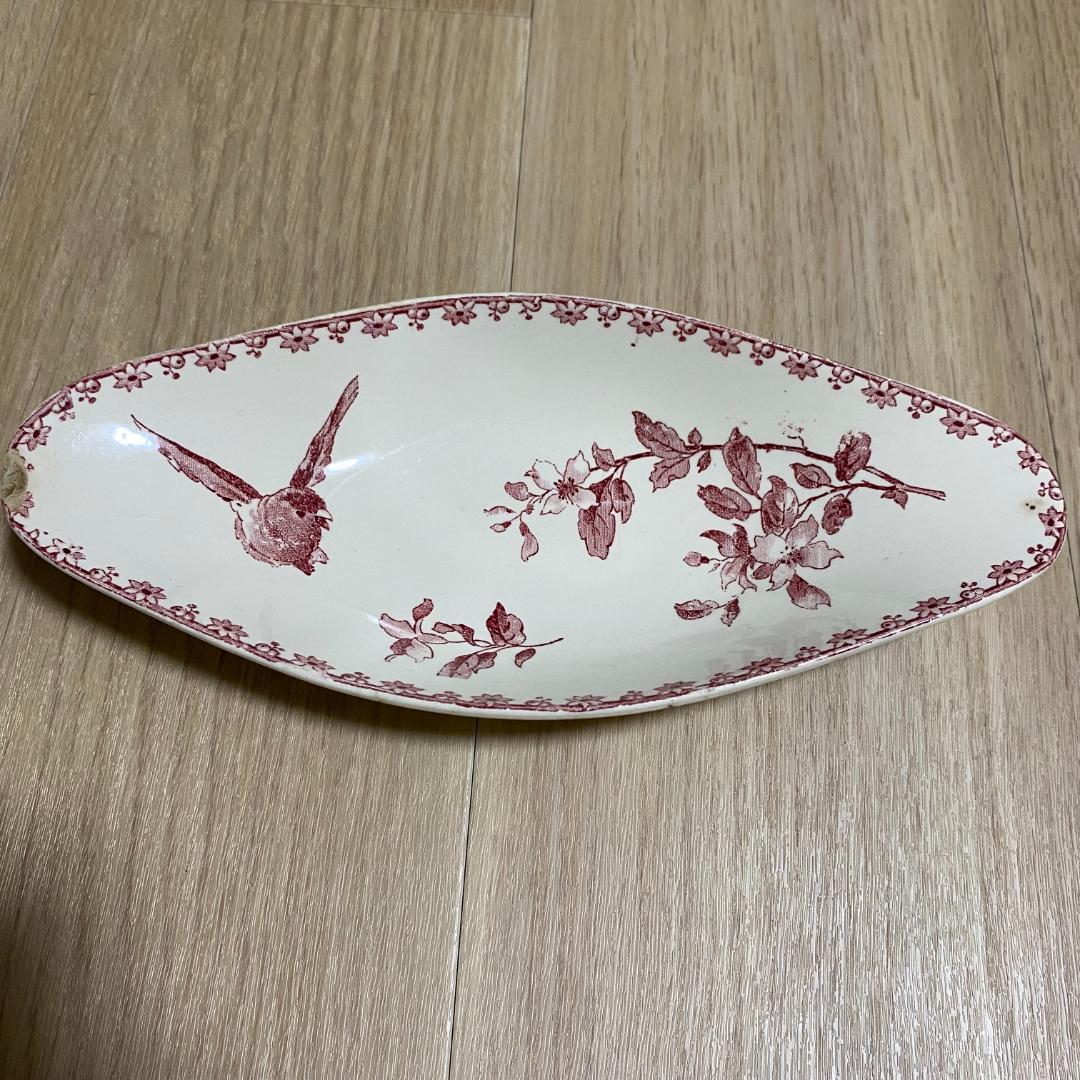 サルグミンヌのラヴィエ鳥さんFAVORI
