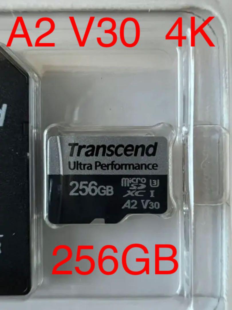 ⭐️正規品新品⭐️ microSDXC 256GB GOPro Switch