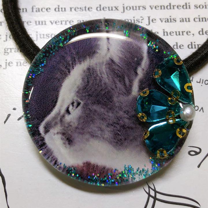 NO 1006 レジン ヘアゴム ハンドメイド 猫ちゃん - メルカリ NO 1006 レジン ヘアゴム ハンドメイド 猫ちゃん - メルカリ