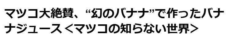183cm巨大株 木熟収穫 ドワーフ マッサンバナナ 至福の糖度 低木 耐寒性強Vanana YUZUMIYA_COM
