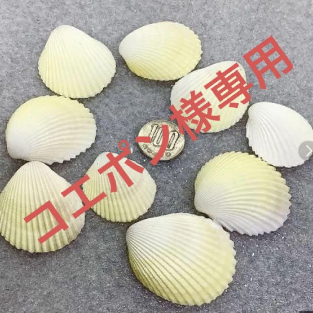 コエポン様専用