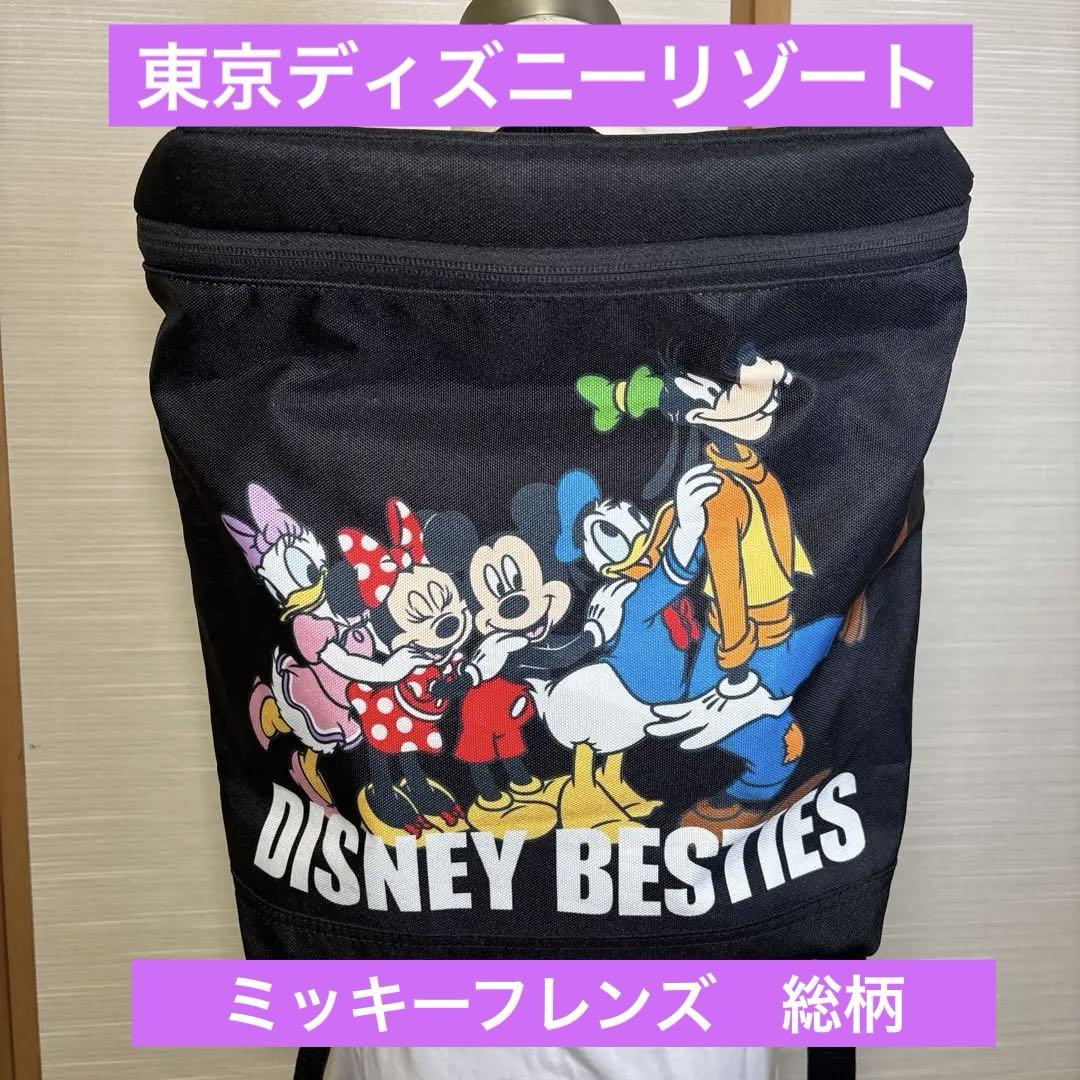 ディズニーリゾート　ディズニーフレンズ　べスティーズリュック ショルダーバッグ