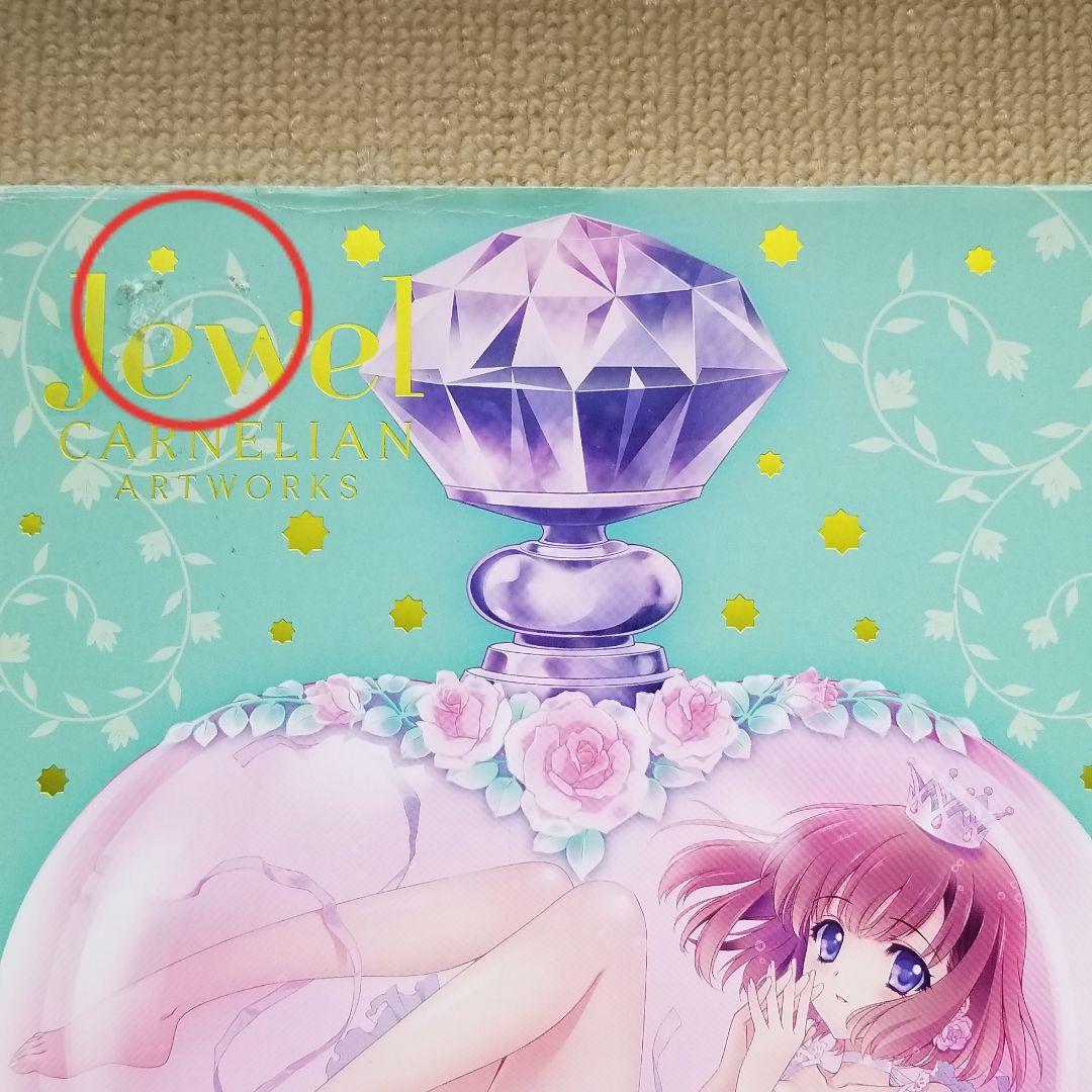 メルカリ 萌えキャラ画集など21冊セット 青年漫画 17 800 中古や未使用のフリマ