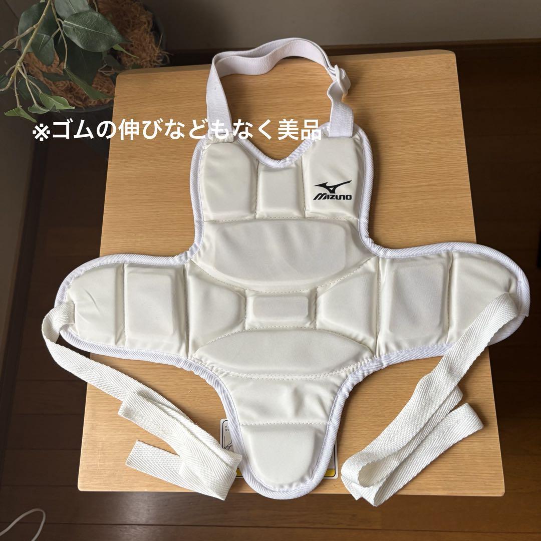 【ミズノ空手】JKF 空手防具セット