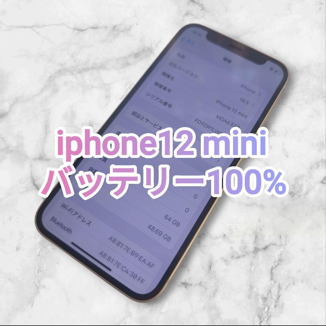 iPhone 12 mini 本体 64GBパープル バッテリー容量100% iPhone 12 mini 64GB SIMフリー バッテリー100% 美品 - メルカリ