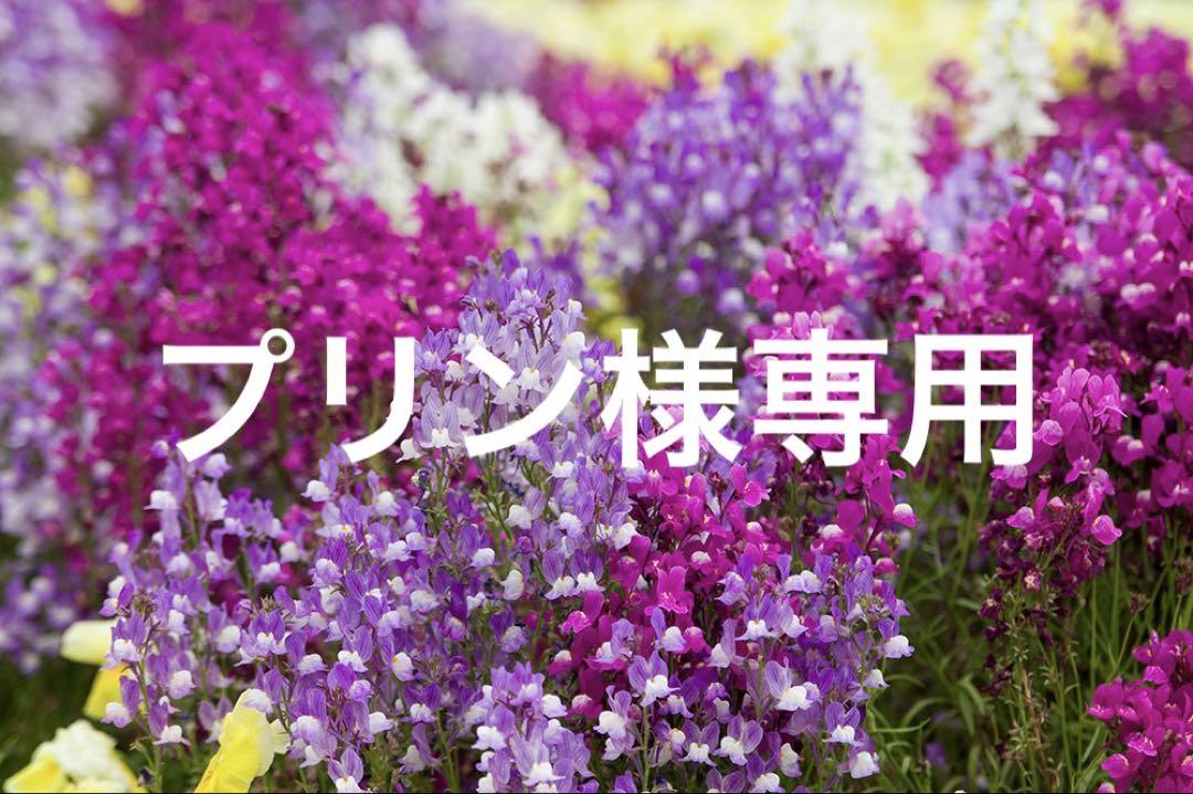 プリン様専用ページ
