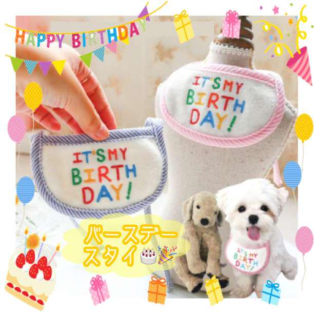 初回限定 ピンク小 バースデー スタイ エプロン 誕生日 Birthday 犬 猫 首輪 Www Anavara Com