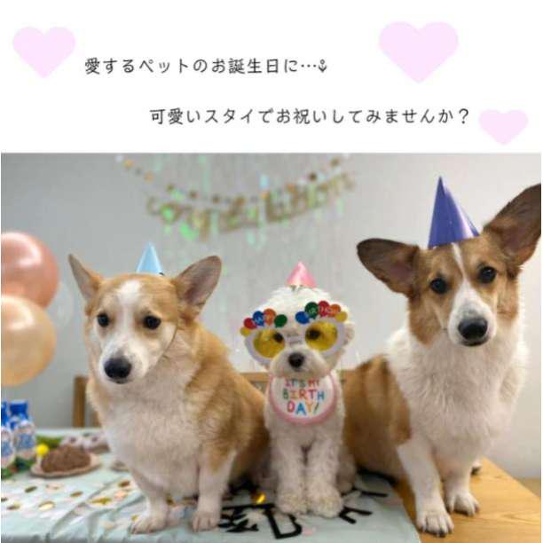 初回限定 ピンク小 バースデー スタイ エプロン 誕生日 Birthday 犬 猫 首輪 Www Anavara Com