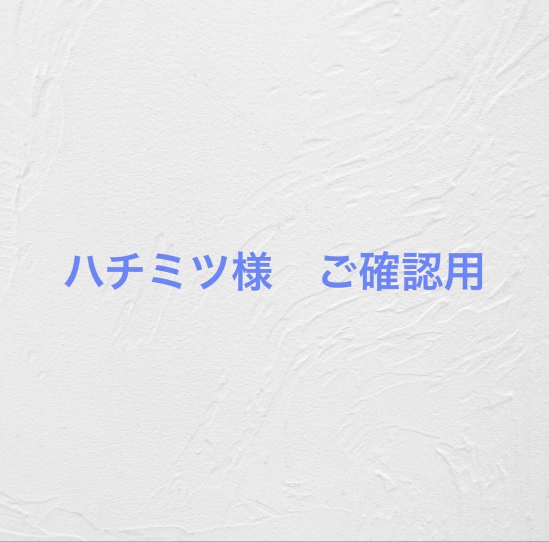 ハチミツ様　ご確認用ページ　ビカクシダ