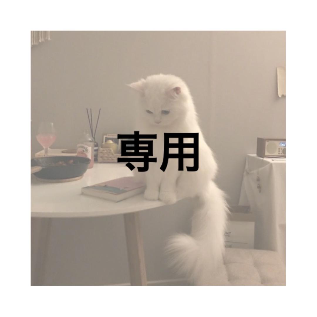 人気大割引 ケンケン様 確認用 武具 - education.semel.ucla.edu