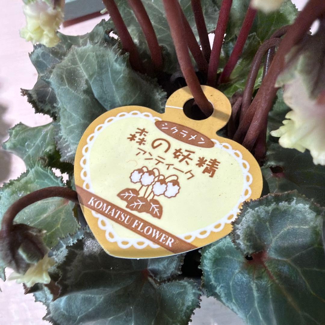 森の妖精 アンティーク❶