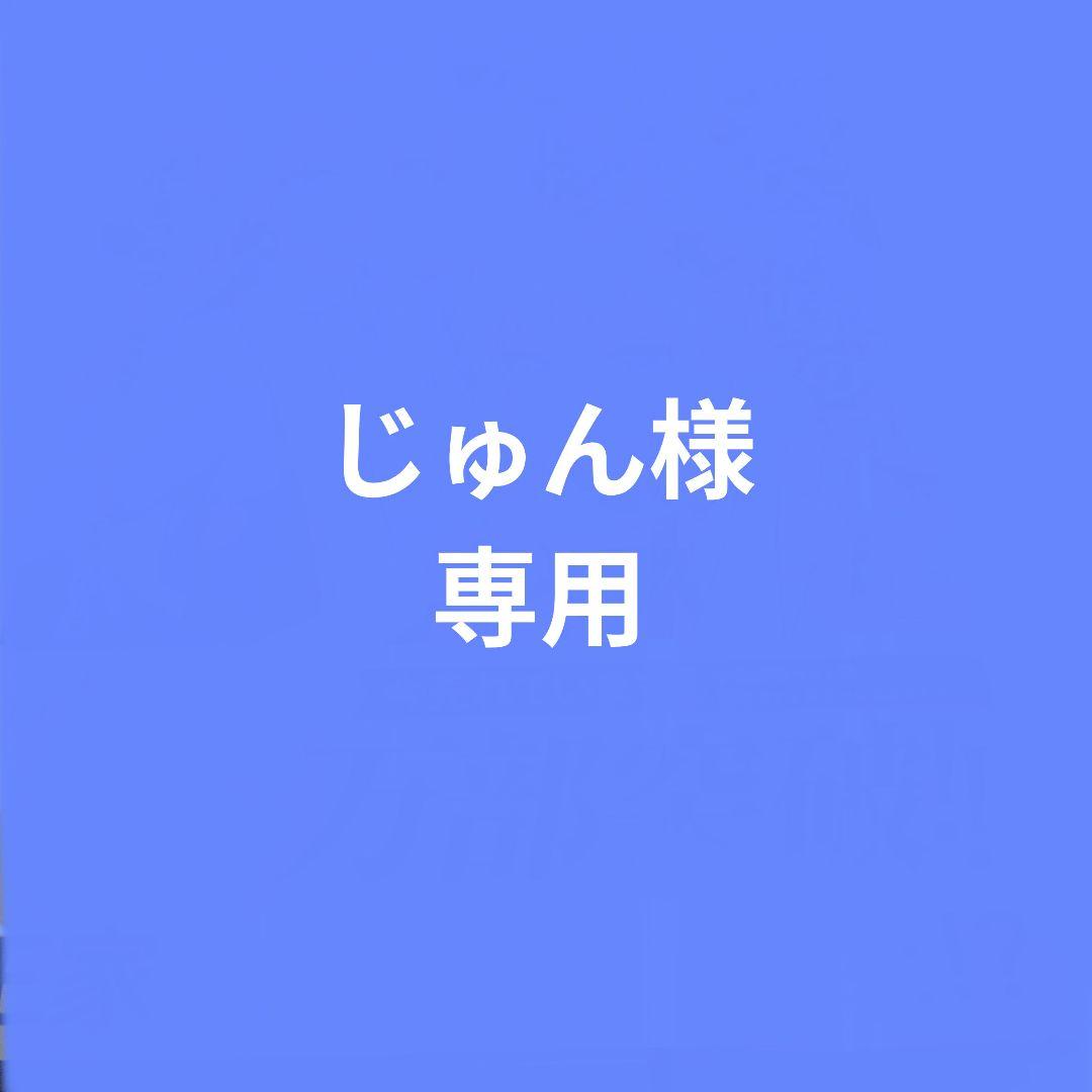 じゅん様専用