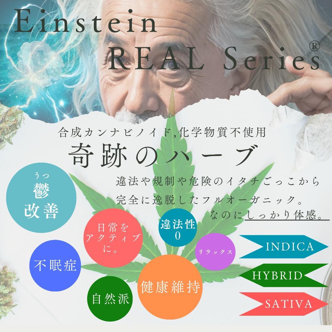 リアルウィード®10本 CBP CBN PHC リキッド ハーブ THXP