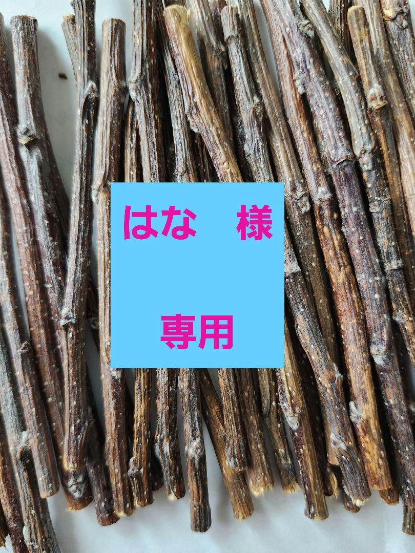 かじり木　りんご小枝5~7mm120本6セット