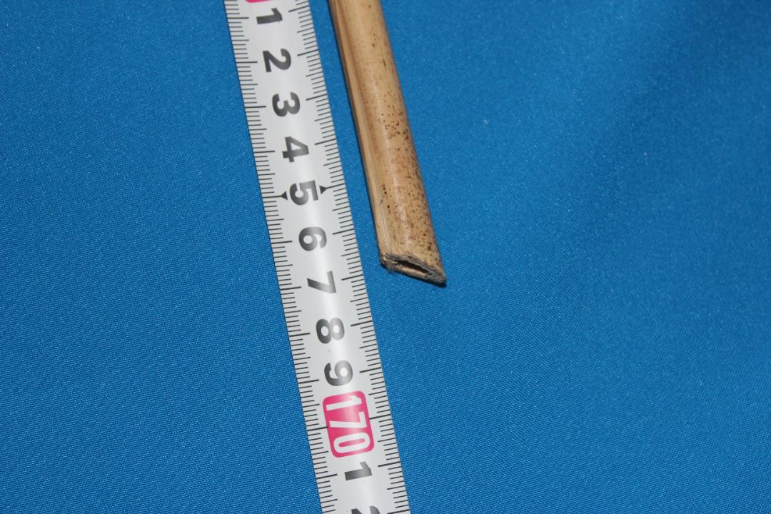 RNO71 和竿竹竿素材布袋竹2本
