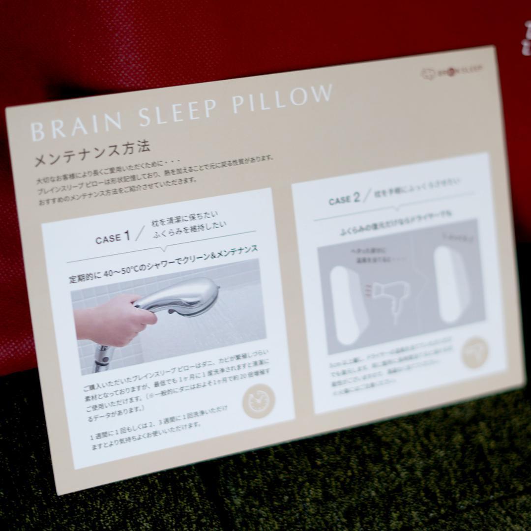【即日・匿名発送】美品 ブレインスリープピロー スタンダード Low 安眠枕