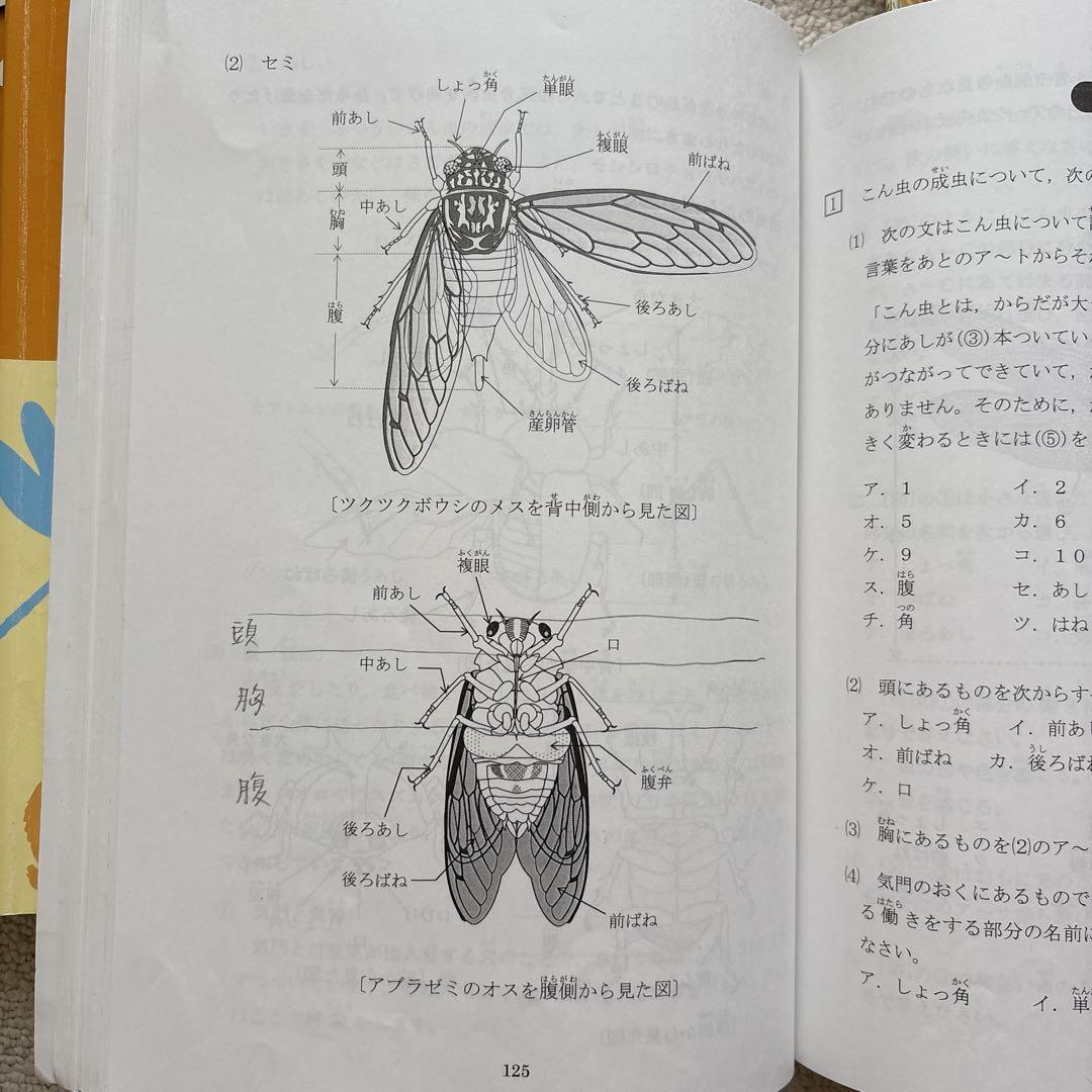 浜学園テキスト小4 国語、算数、理科、社会、難問解説集
