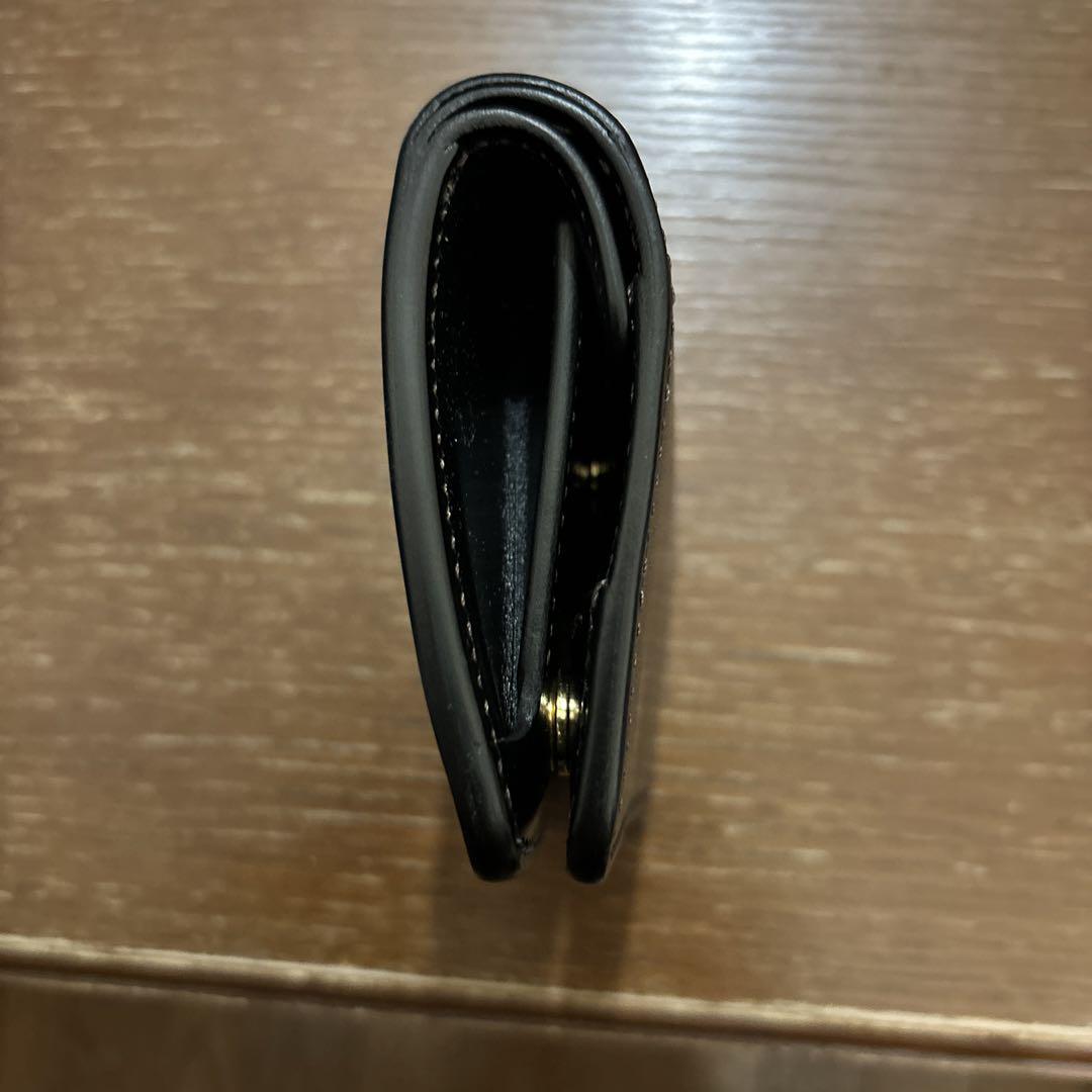 ワイルドスワンズkf 003