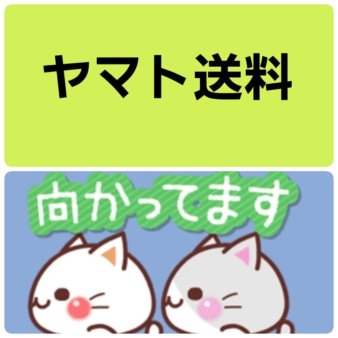 ❣️いちご·͜·ᰔᩚみるく様専用❣️斑入りグリーンネックレス