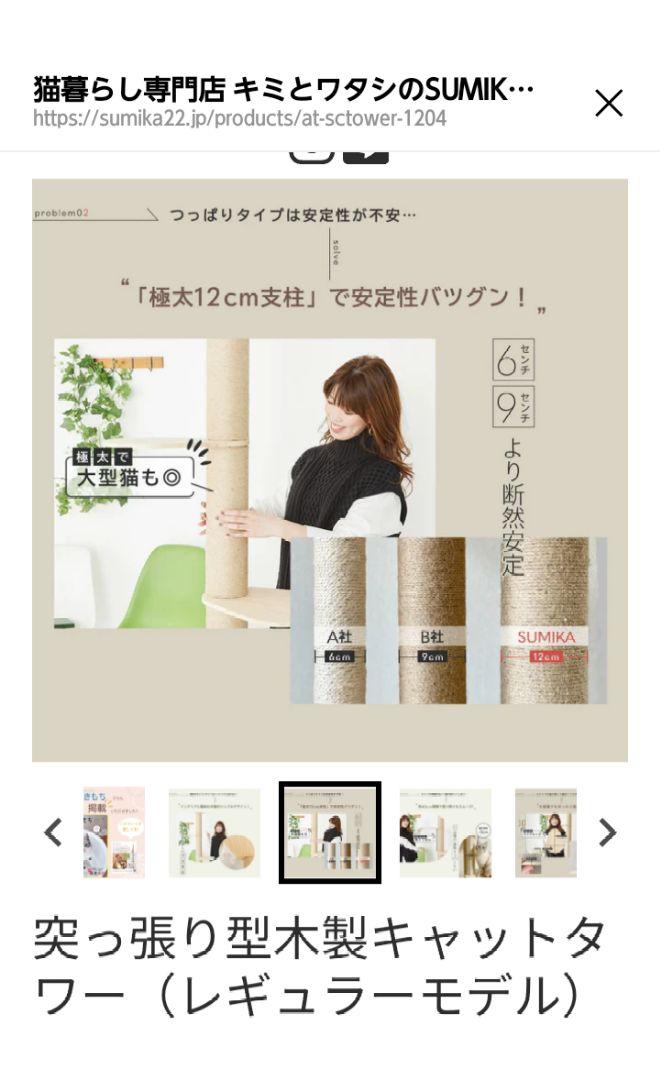 突っ張り式　キャットタワー