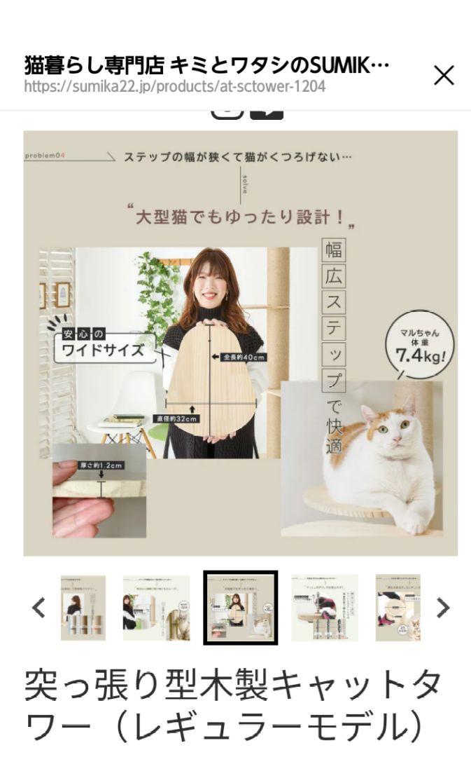 突っ張り式　キャットタワー