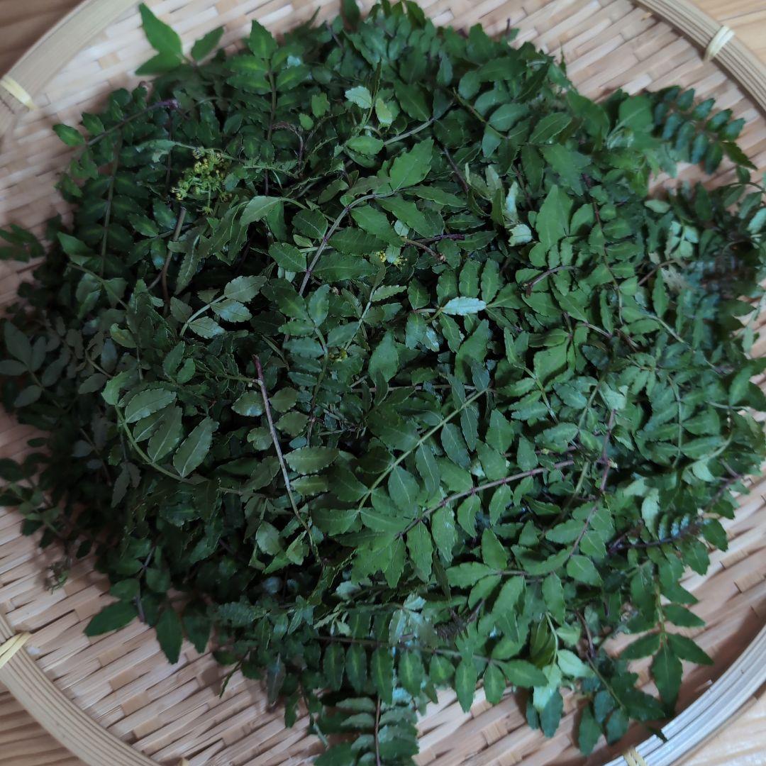 imghanasansyoaka01.jpg