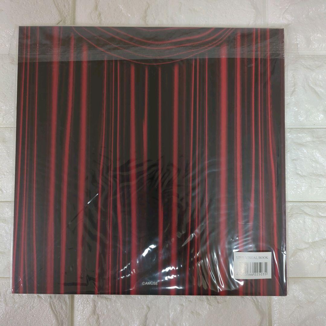 SUPER HANDSOME LIVE 2012 パンフレット