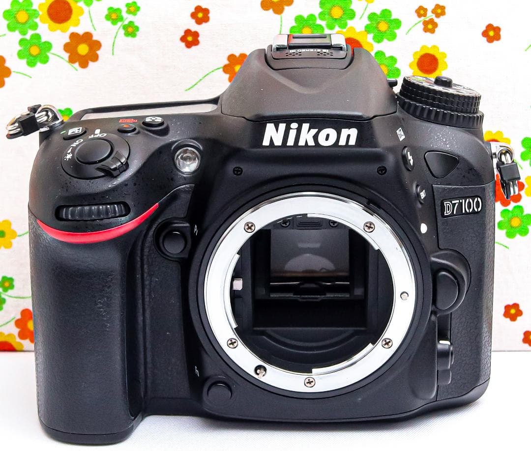 美品 ニコン Nikon D7100☆スマホに転送可♪☆ダブルレンズ☆本格一眼