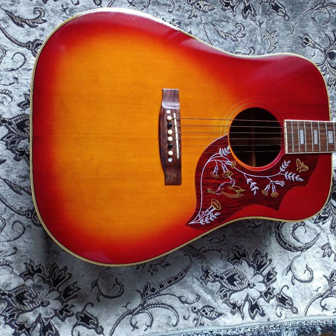 Morales M-35 トップ単板 Hamming bird モデル 全音楽器 Morales M-35 トップ単板 Hamming bird モデル 全音楽器