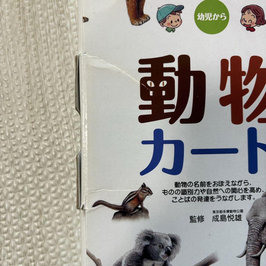 【全カード揃い】くもんの図鑑カード★生活・自然・乗り物・動物まとめ売り くもん生活図鑑カード、自然図鑑カード のりものカード・動物