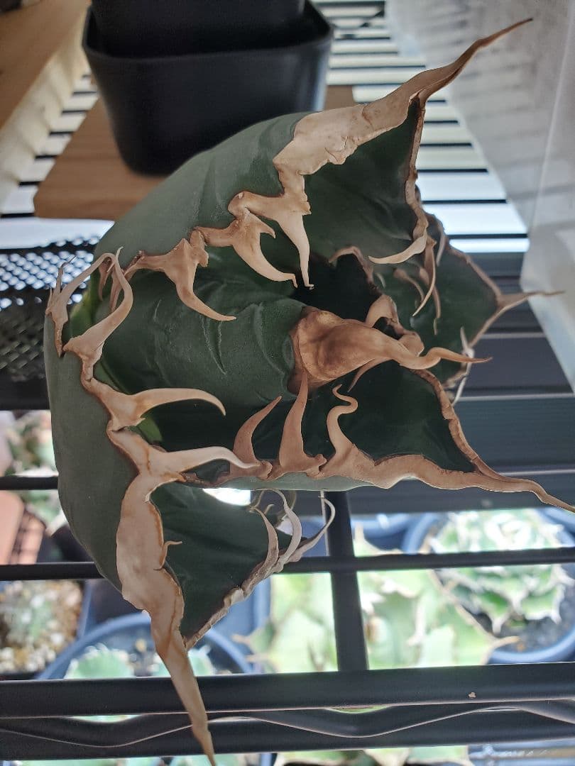 ３点セット目立った傷や汚れなし