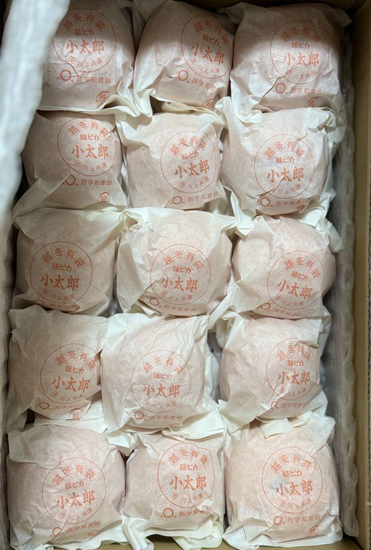 糖度１３度以上！天皇杯受賞の樹上完熟袋がけ！味ピカみかん小太郎Sサイズ 30玉