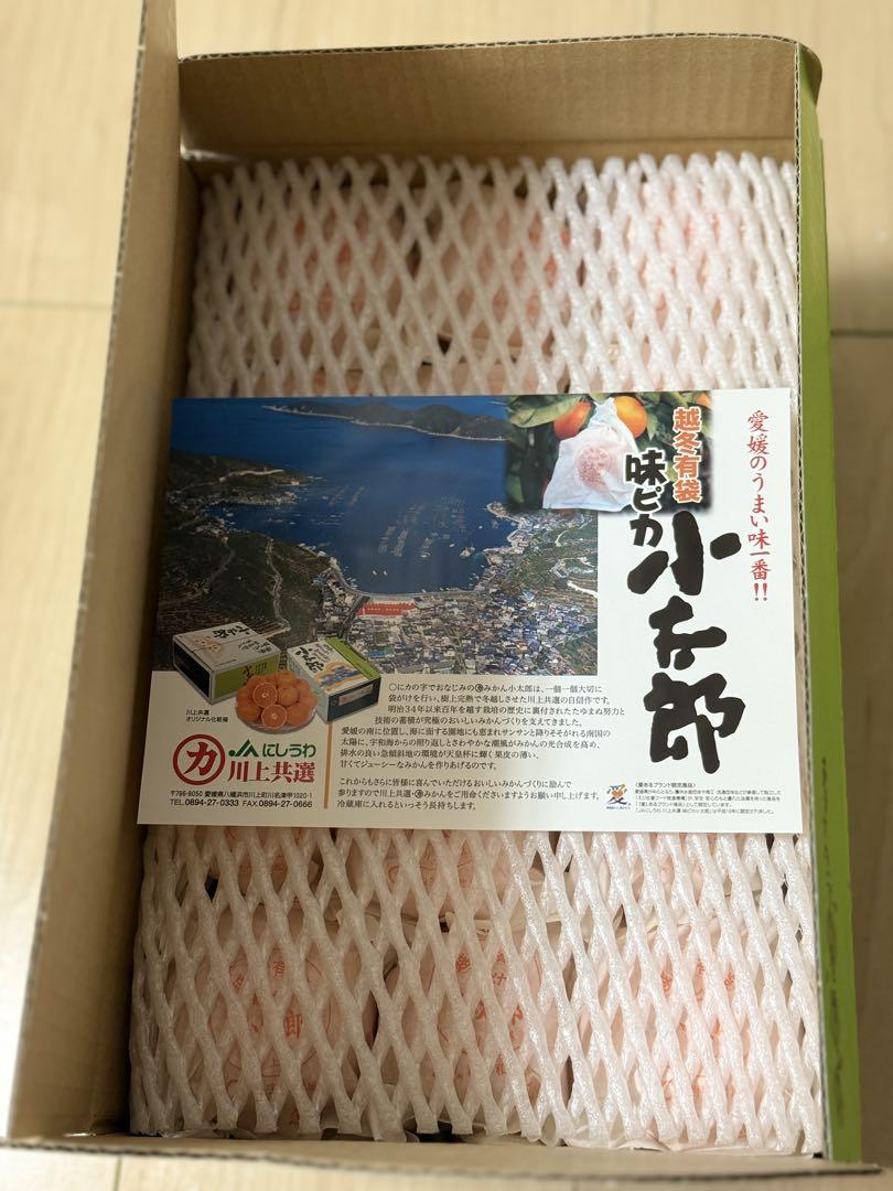 糖度１３度以上！天皇杯受賞の樹上完熟袋がけ！味ピカみかん小太郎Sサイズ 30玉