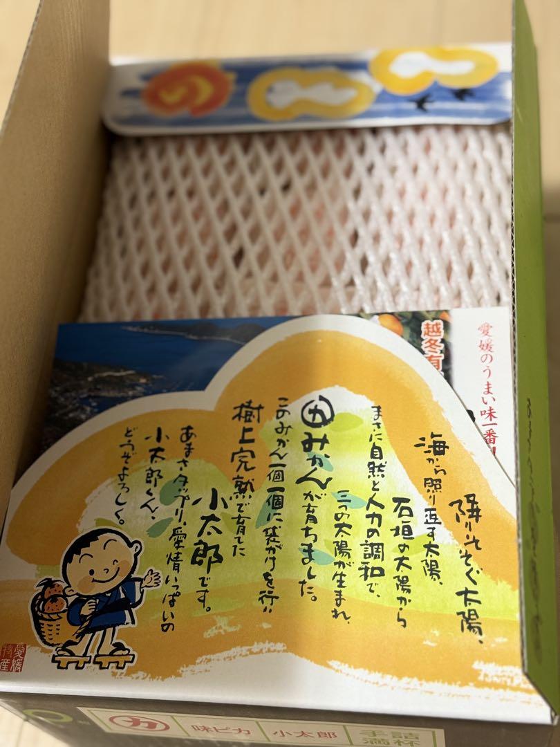 糖度１３度以上！天皇杯受賞の樹上完熟袋がけ！味ピカみかん小太郎Sサイズ 30玉