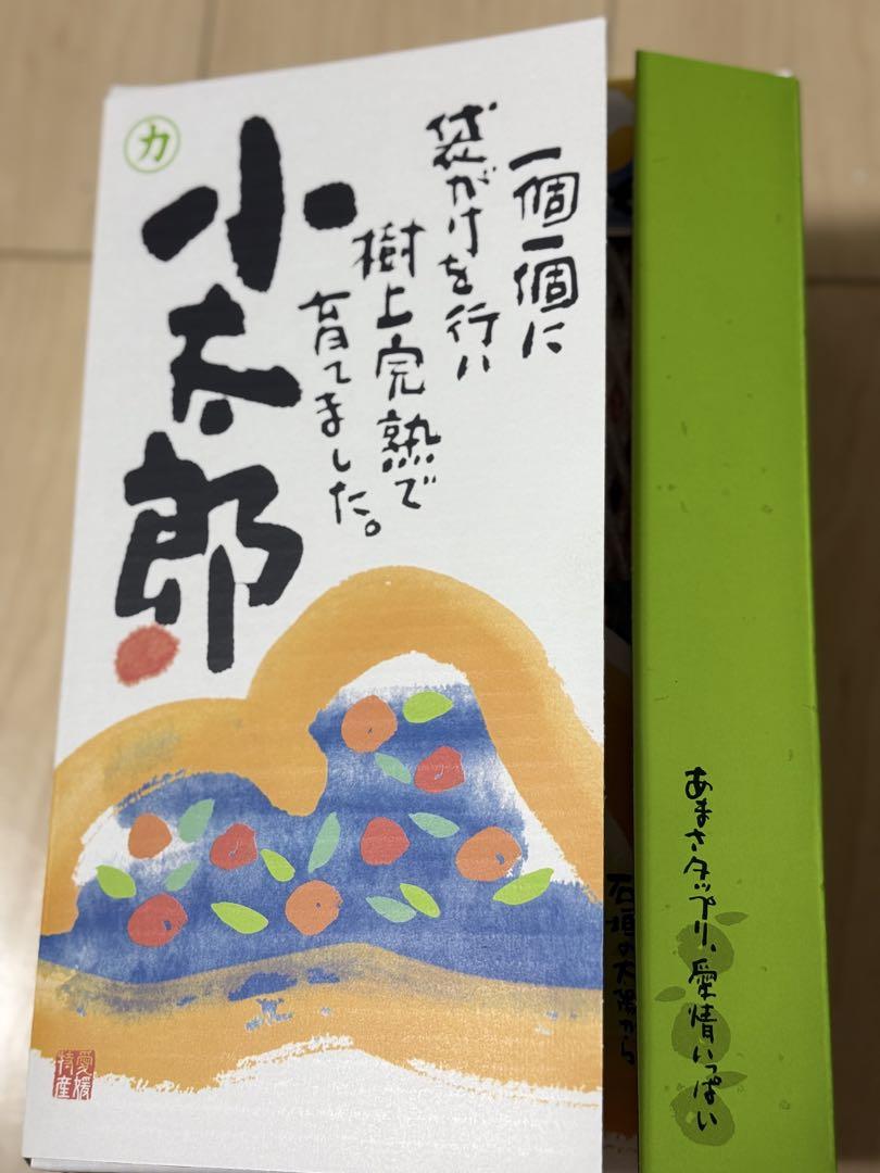 糖度１３度以上！天皇杯受賞の樹上完熟袋がけ！味ピカみかん小太郎Sサイズ 30玉