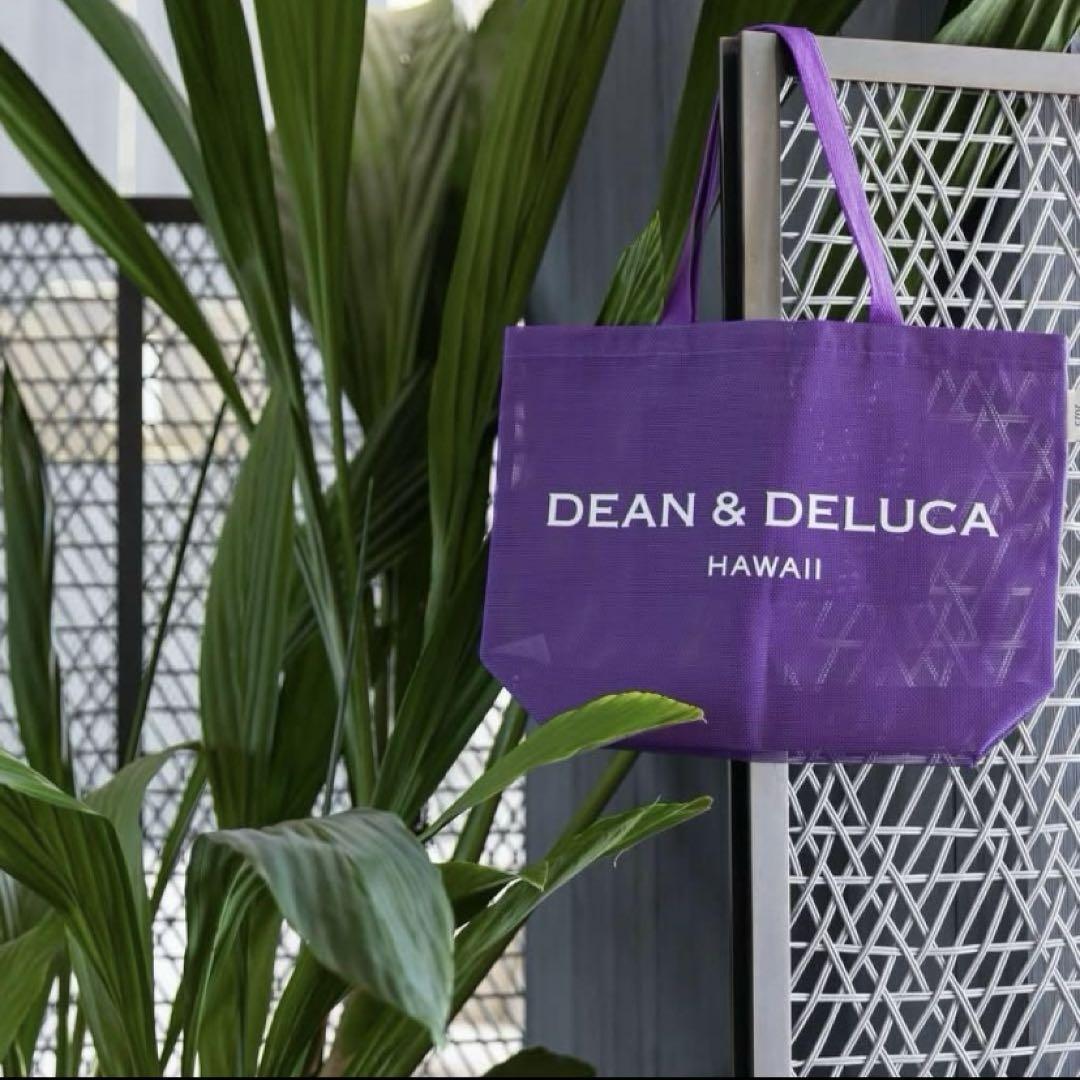 ハワイ限定 紫 パープル DEAN&DELUCA 2025 バッグLメッシュ