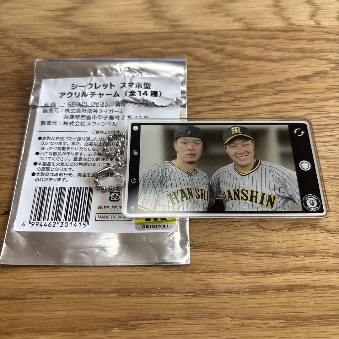 【レア！】阪神タイガース 大山悠輔シークレットアクリルキーホルダー サイン入り 阪神タイガース シークレット 平成レトロ アクリルキーホルダー