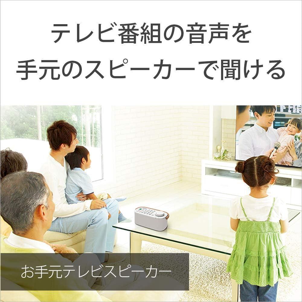SONY SRS-LSR200