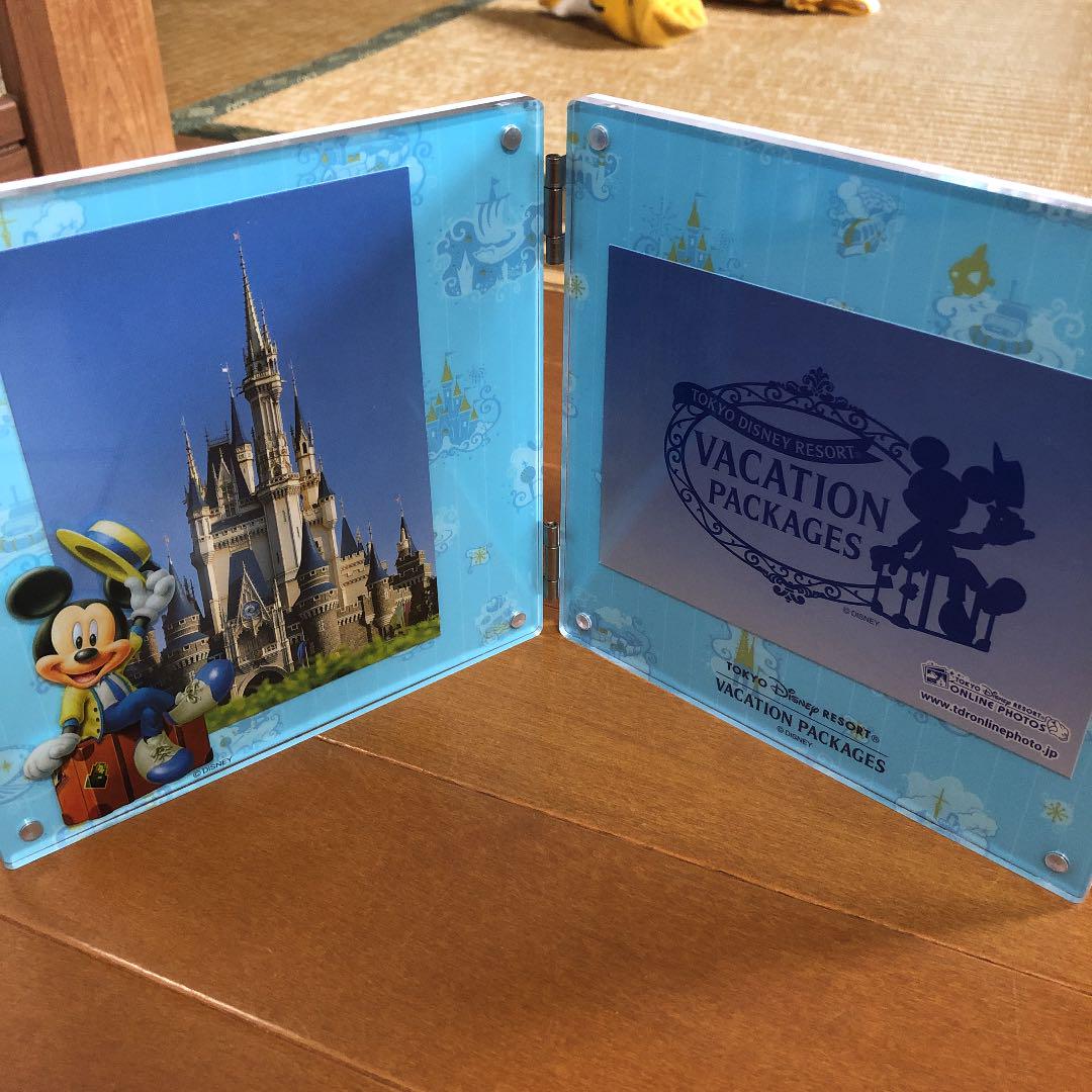 ディズニー　バケーションパッケージ　グッズ 2025】バケーションパッケージオリジナルグッズまとめ！カラフル